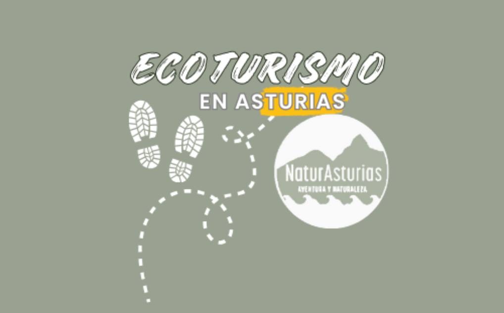 Activities in Asturias : Active Tourism logo