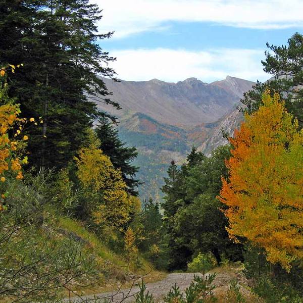 Lasieso, Alto G&amp;aacute;llego. Destino Huesca