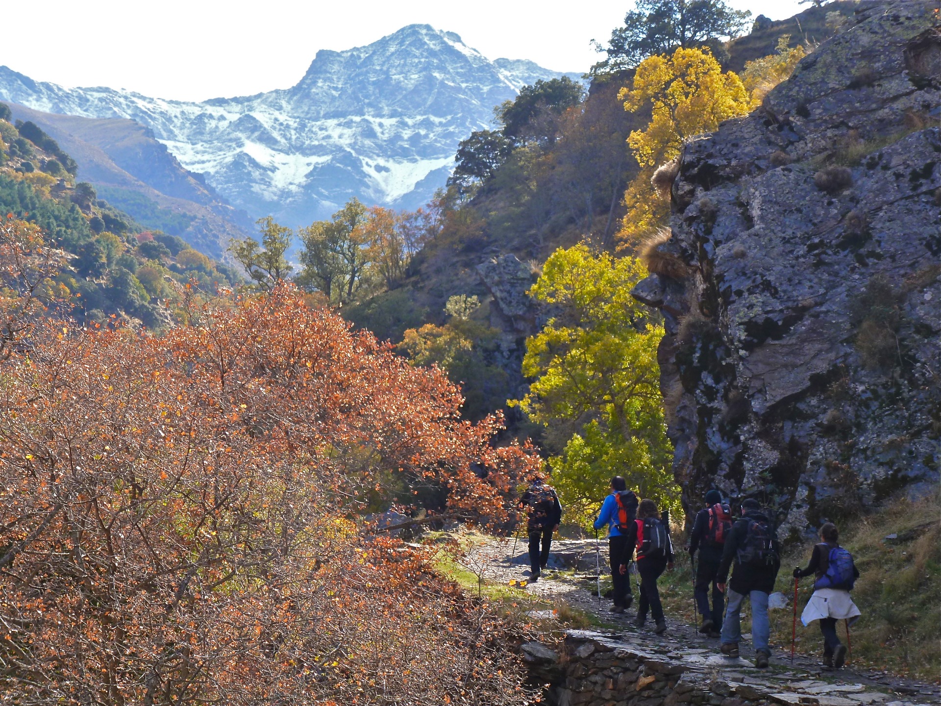  Varias personas haciendo senderismo por una montana con un fondo de bosque