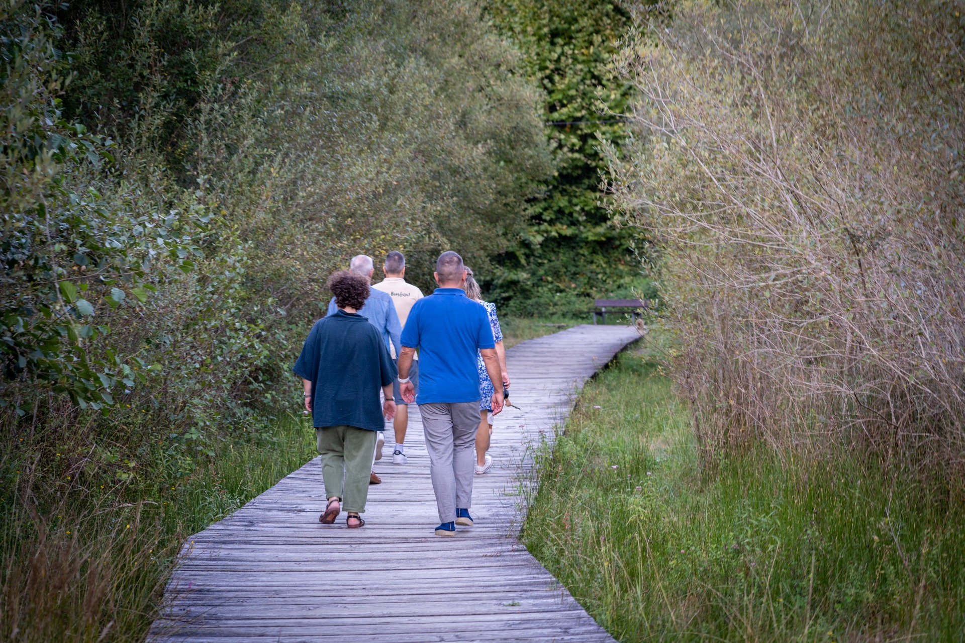  Several people walking along a path between trees