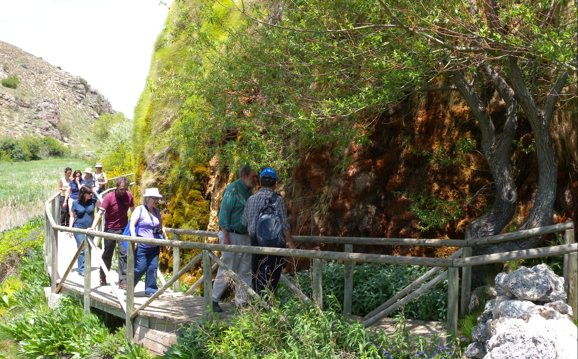Several people on a wooden bridge in the natural park