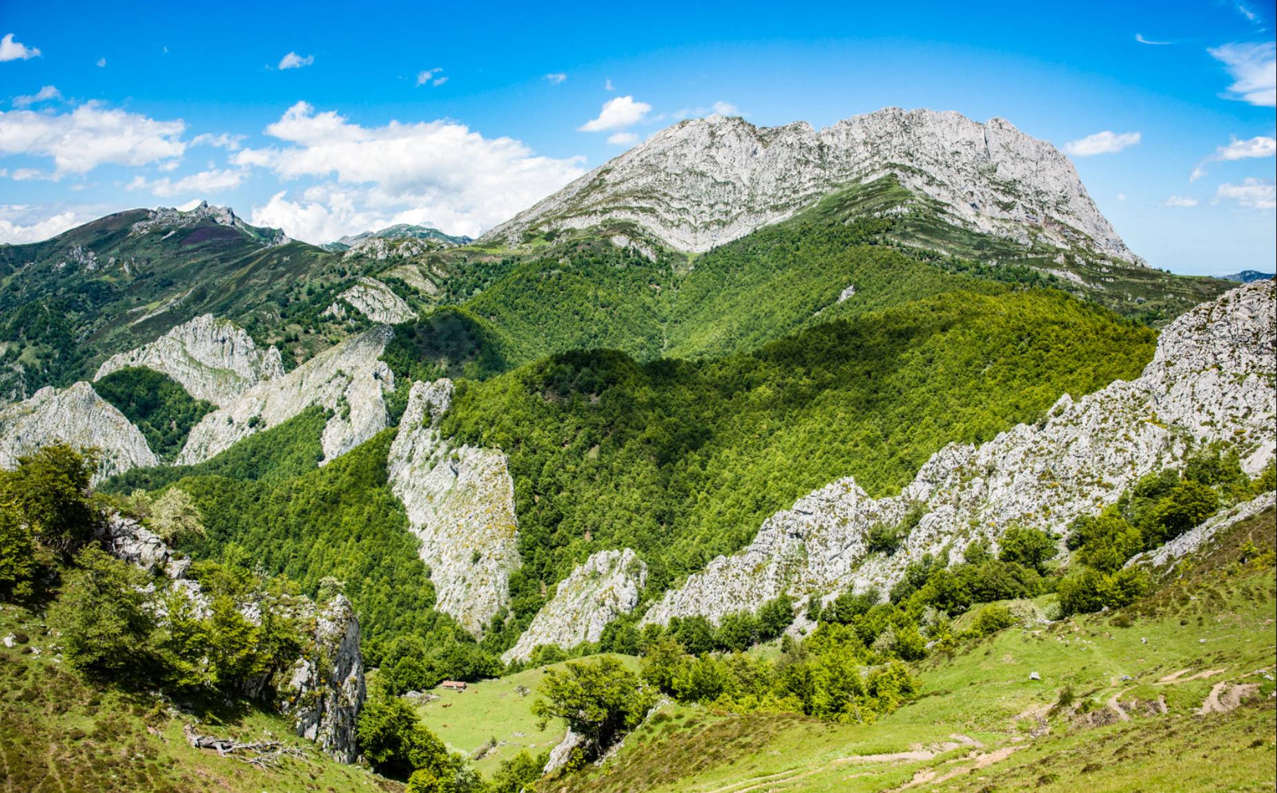 Foto de la montaña con un paisaje verde