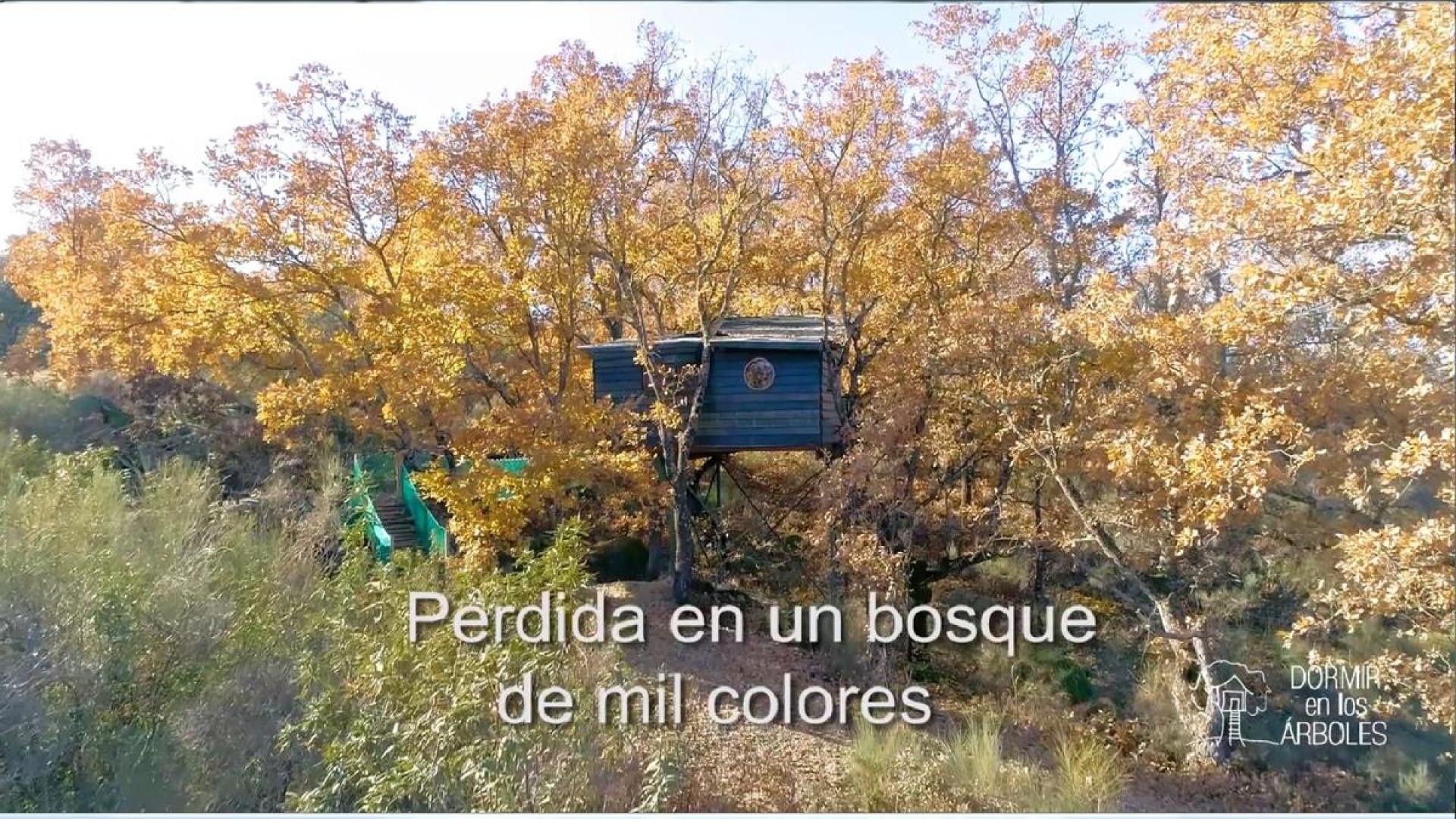 Imagen de Cabañas en los Árboles de Extremadura