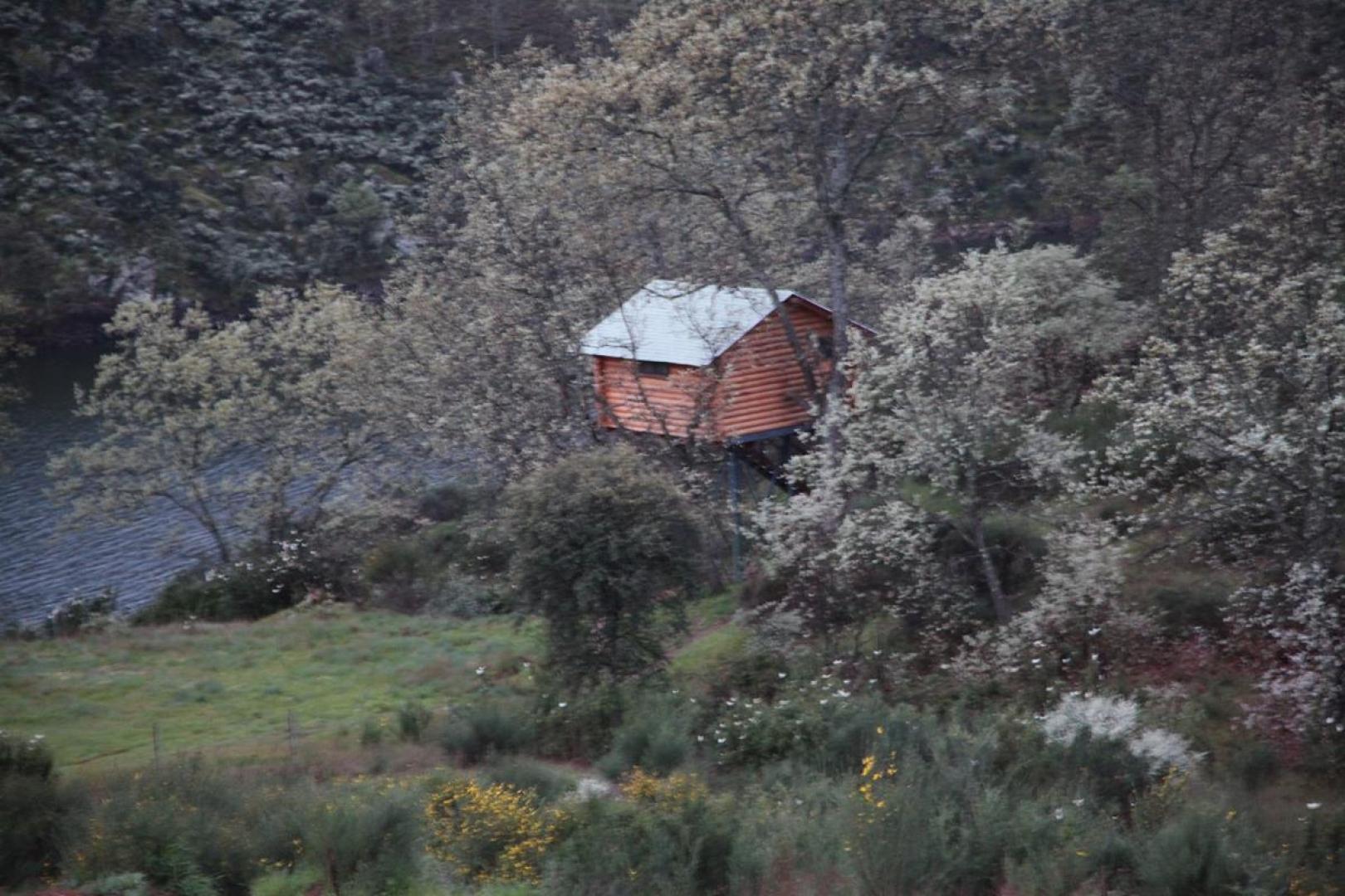 Imagen de Cabañas en los Árboles de Extremadura